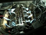 DSCF8516.JPG