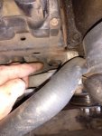 IMG_20210820_093656439.jpg
