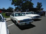 IMG_20210904_130452.jpg