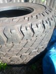 IMG_20211008_142224_041.jpg