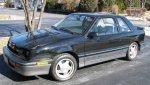 Shelby_15221-1.jpg