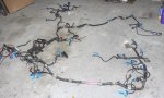 complete engine wiring harness.jpg