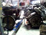d max cummins back level.jpg