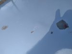 20220206_131847.jpg