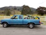 1987_Ford_Ranger_XLT_SuperCab.jpg