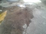 20140618_083817.jpg
