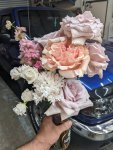 PXL_20220828_122825784.jpg