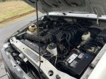 Engine bay cleaned.JPG
