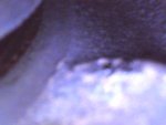 CI-81965907230418006.jpg