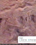 0530_Donald_Marshall_found_in.png