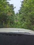 PXL_20230702_000343391.MP.jpg
