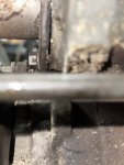 IMG_4446.jpeg