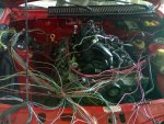 mercur 19042010158.jpg