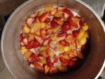 IMG_20230923_200031338.jpg