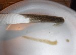 DSCF4584.JPG