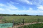 DSCF48979.JPG