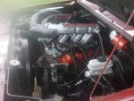 IMG_230714869537368.jpeg