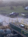 pig grazing over bank.jpg