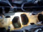 normal intake.jpg