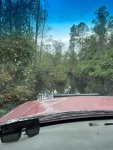 IMG_0043.jpeg