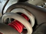 IMG_3603.jpeg