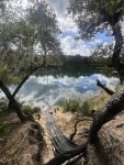 IMG_0204.jpeg
