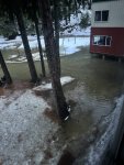 IMG_5018.jpeg