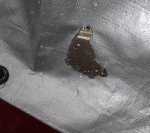 DSCF6602.JPG