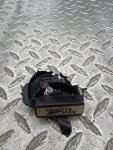 IMG_0541.jpeg