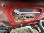 IMG_2036.jpeg