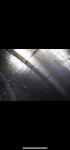 IMG_2983.png