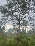 IMG_0851.jpeg