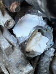 IMG_3140.jpeg