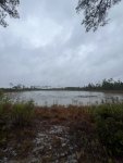 IMG_1089.jpeg
