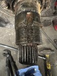 IMG_1146.jpeg