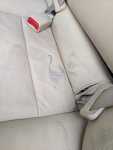 SGCAM_20240227_0919480330.jpg