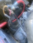 IMG_2319.jpeg