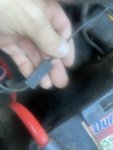 IMG_2320.jpeg
