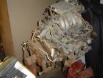 DSC00040.JPG