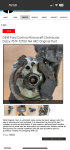 IMG_9681.png