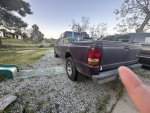 IMG_8390.jpeg