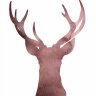 ColdDeer23