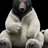 Fuzbear1956