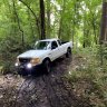 Forest Ranger