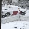 03ishfrankentruck