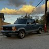 503Lalo