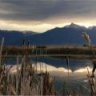 montanamark
