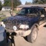 Kyle2000Ranger