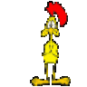 firsthawkeye