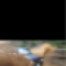 Salafia_339